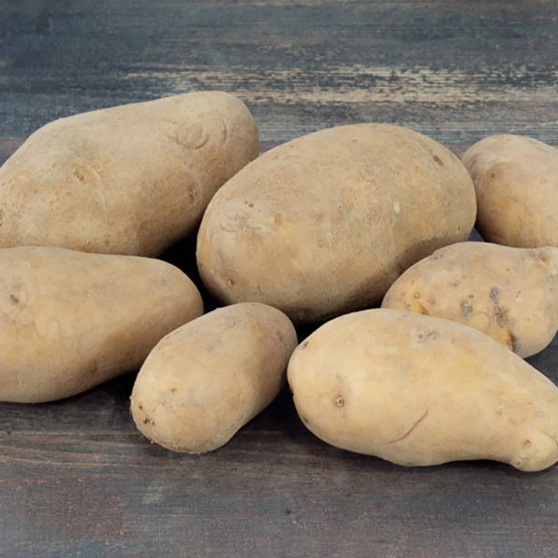 Commande en ligne Pommes de Terre Bio Agria 25 kg Ferme de la Basse Rivière Commande en ligne Pommes de Terre Bio Agria 25 kg Ferme de la Basse Rivière